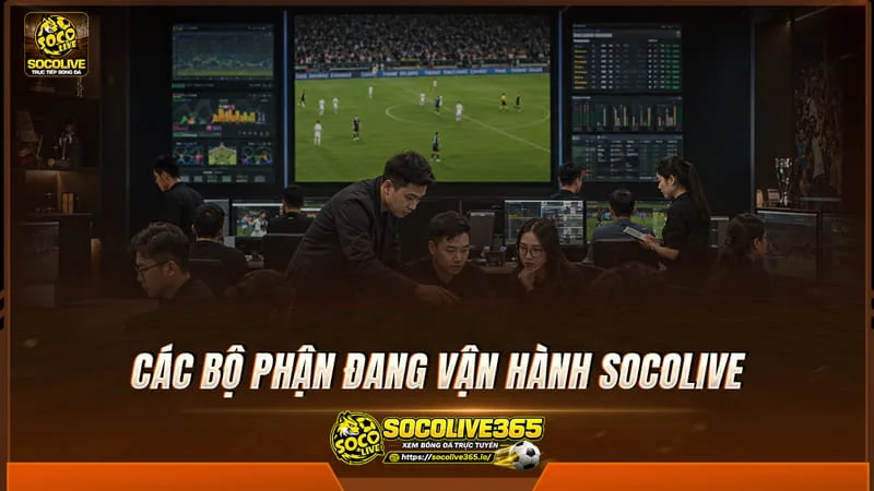 Các bộ phận đang vận hành Socolive Các bộ phận đang vận hành Socolive