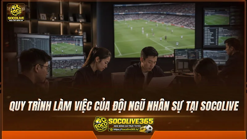 Quy trình làm việc của đội ngũ nhân sự tại Socolivetv Quy trình làm việc của đội ngũ nhân sự tại Socolivetv