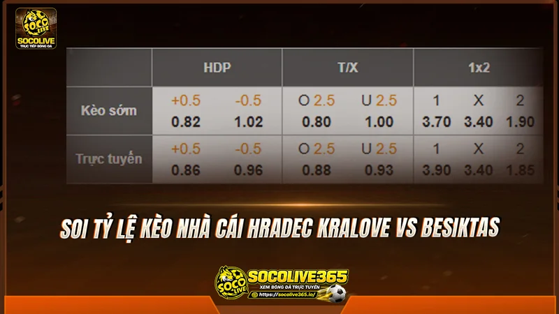 Soi tỷ lệ kèo nhà cái Hradec Kralove vs Besiktas cùng các chuyên gia Socolive Soi tỷ lệ kèo nhà cái Hradec Kralove vs Besiktas cùng các chuyên gia Socolive