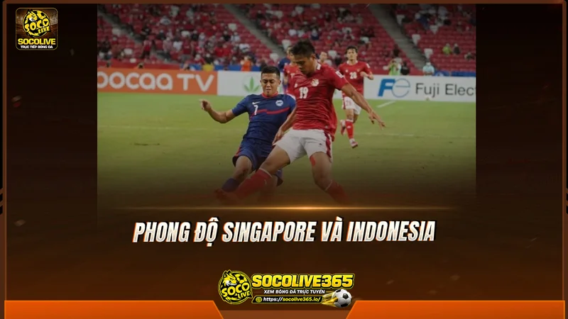 Phong độ Singapore và Indonesia được Socolive TV tổng hợp