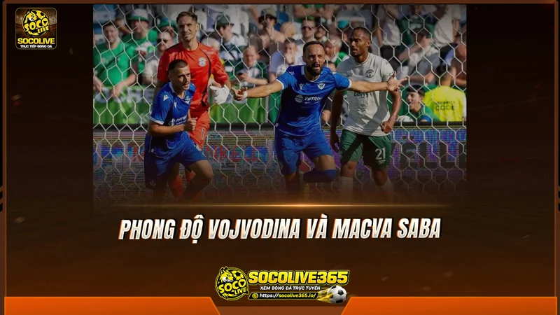 Phong độ Vojvodina và Macva Sabac được Socolive TV tổng hợp