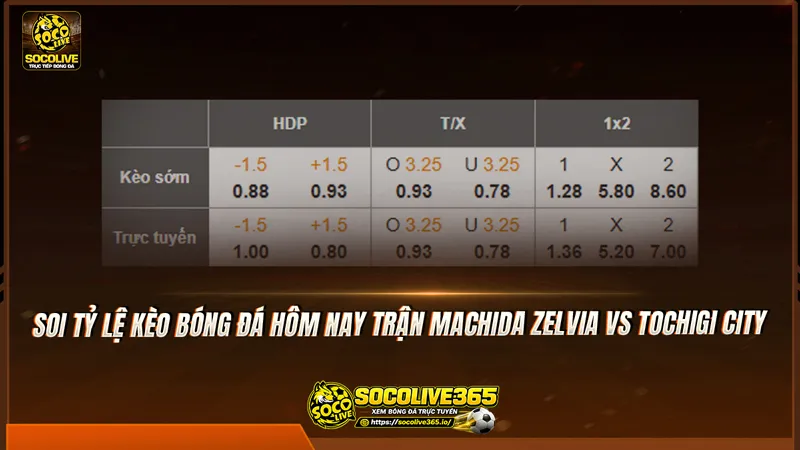 Soi tỷ lệ kèo bóng đá hôm nay trận Machida Zelvia vs Tochigi City
