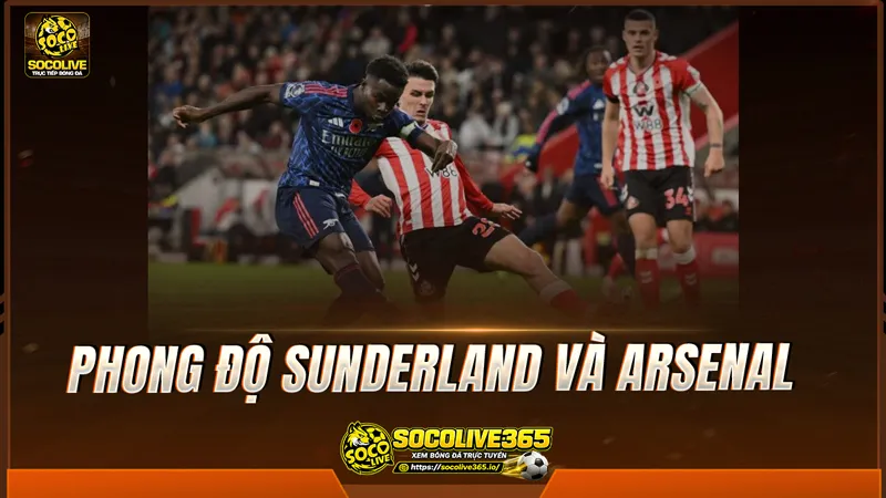Phong độ Sunderland và Arsenal được Socolive TV tổng hợp