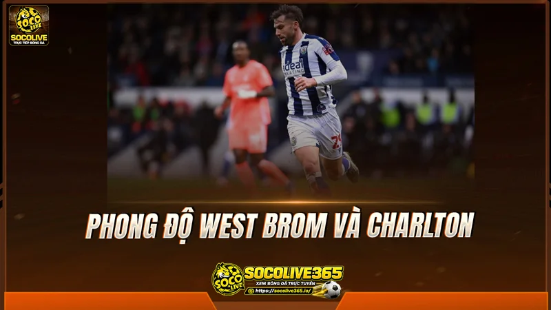 Phong độ West Brom và Charlton được Socolive TV tổng hợp Phong độ West Brom và Charlton được Socolive TV tổng hợp